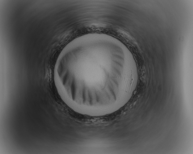 X0000094811061200712071221