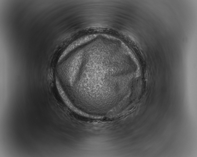 X0000094811062200712071221