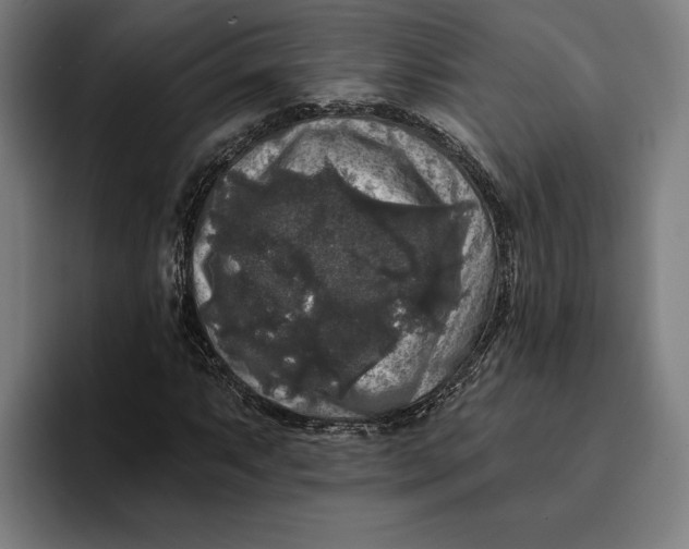 X0000094811063200712071221