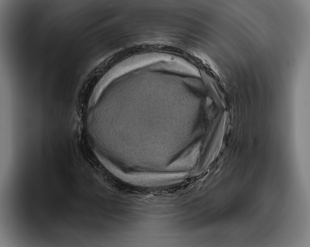 X0000094811064200712071221