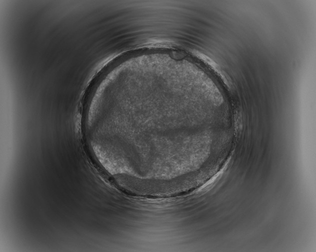 X0000094811066200712071221