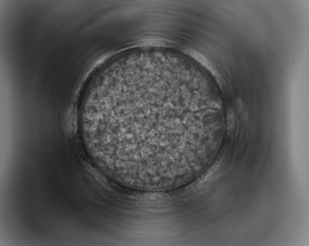 X0000094811067200712071221