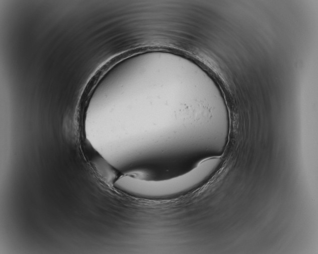 X0000094811068200712071221