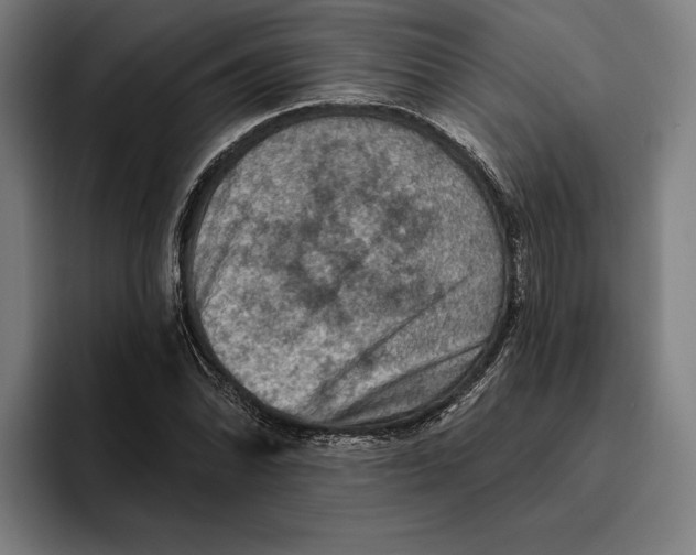 X0000094811070200712071221