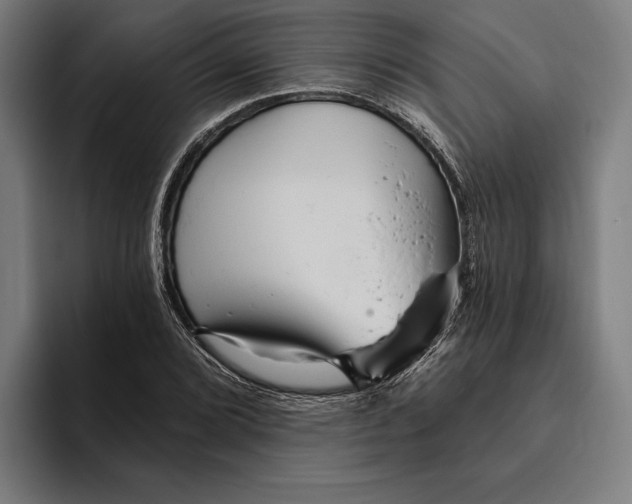 X0000094811072200712071221