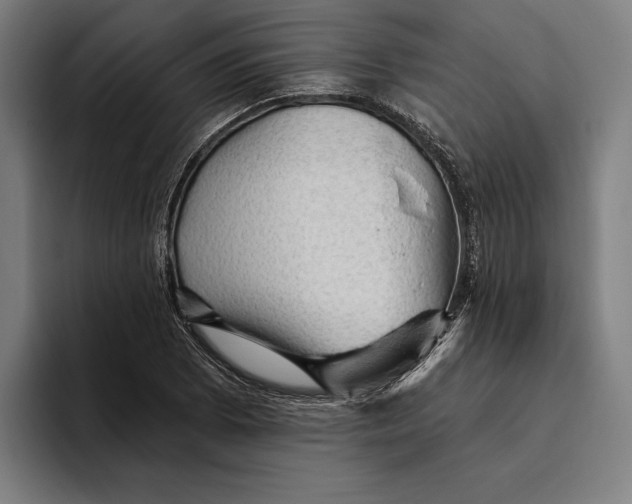 X0000094811073200712071221