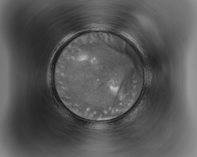 X0000094811074200712071221