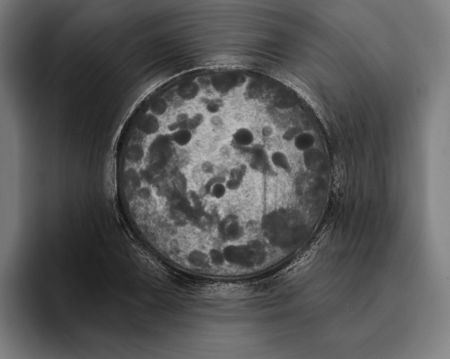 X0000094811075200712071221