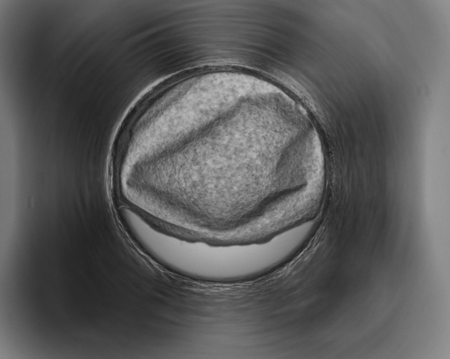 X0000094811076200712071221