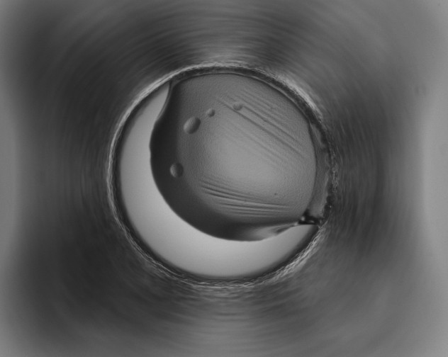 X0000094811077200712071221