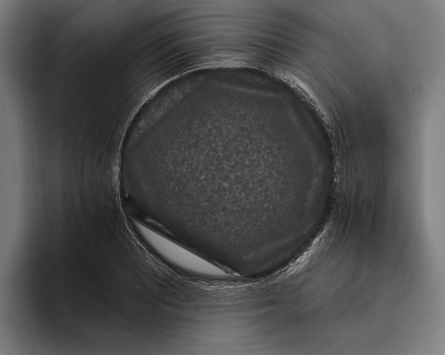 X0000094811081200712071221