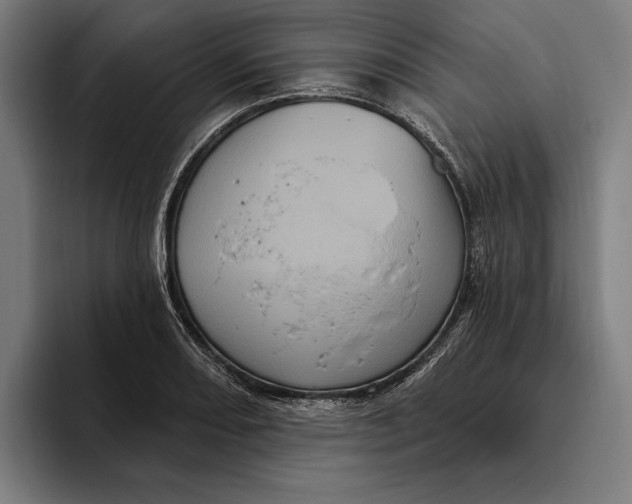 X0000094811082200712071221