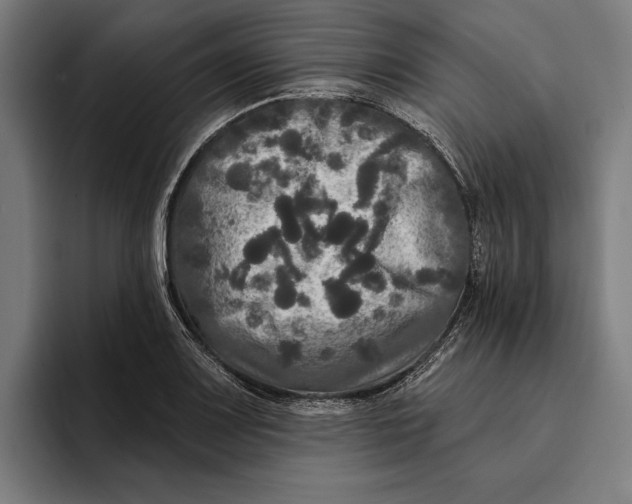 X0000094811083200712071220