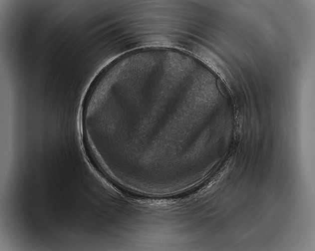 X0000094811084200712071220