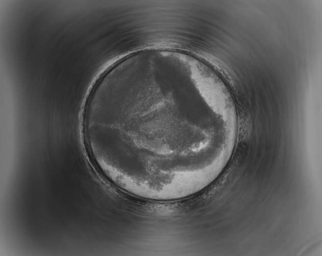 X0000094811086200712071220