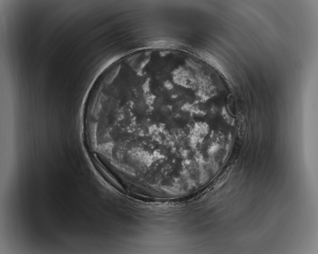 X0000094811087200712071220