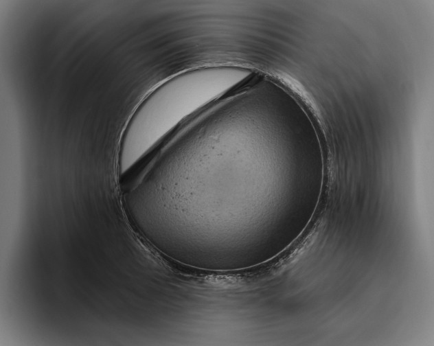 X0000094811089200712071220