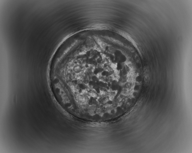 X0000094811091200712071220