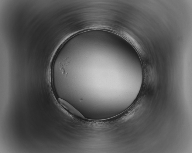 X0000094811092200712071220