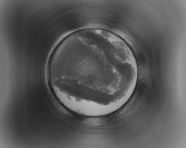 X0000094811094200712071220