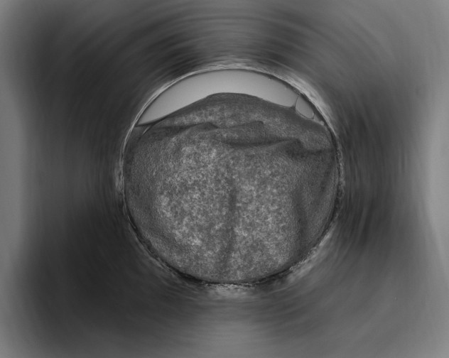 X0000094811097200712071220