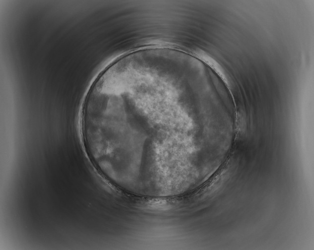 X0000094811098200712071220