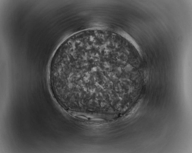 X0000094811099200712071220