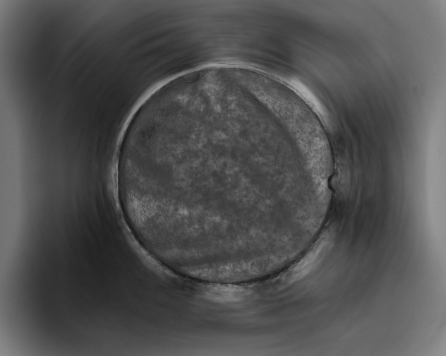 X0000094811100200712071220