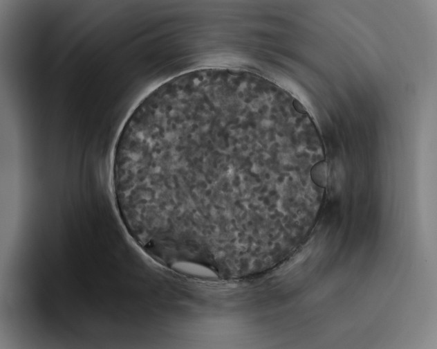 X0000094811103200712071220