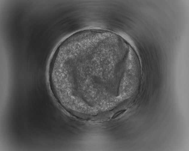 X0000094811104200712071220