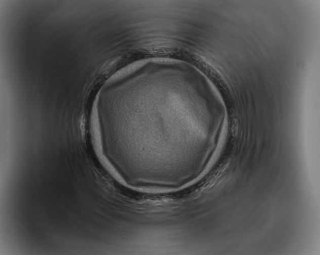 X0000094811108200712071220