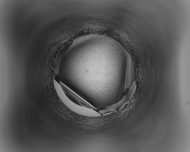 X0000094811109200712071220