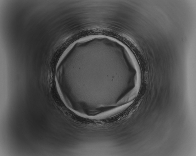 X0000094811111200712071220