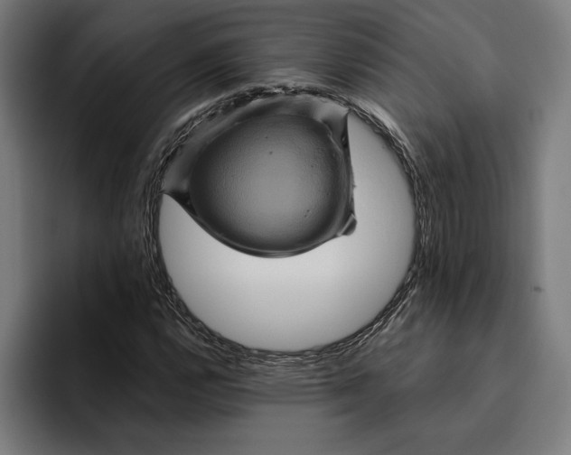 X0000094811112200712071220