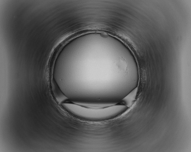 X0000094811114200712071220