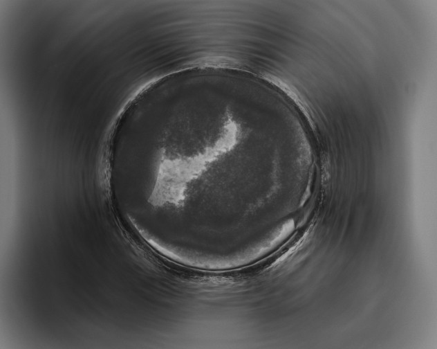 X0000094811115200712071220