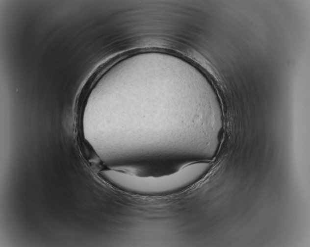 X0000094811116200712071220