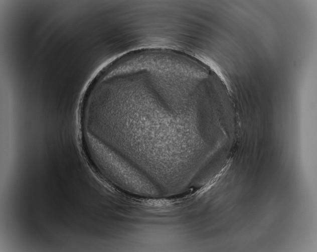 X0000094811120200712071220