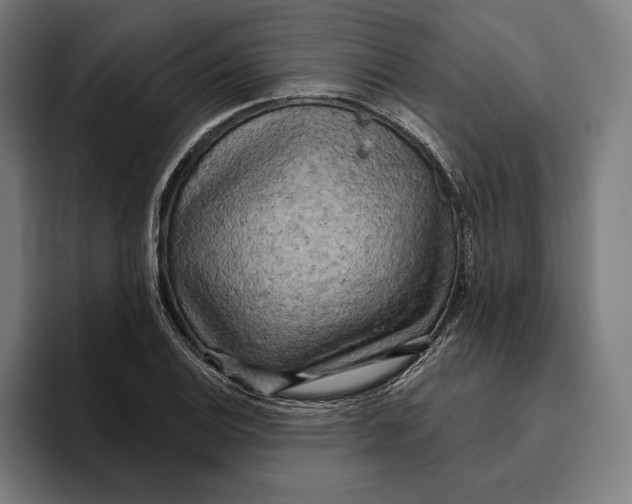 X0000094811124200712071220