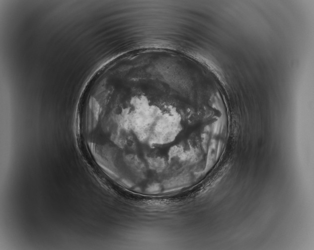 X0000094811125200712071220