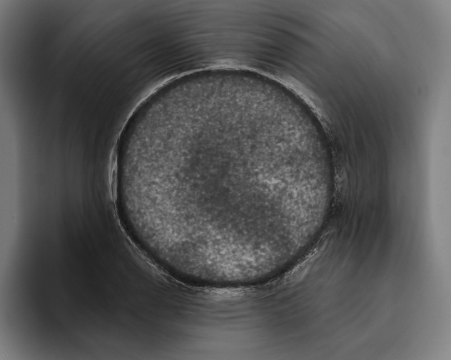 X0000094811126200712071220