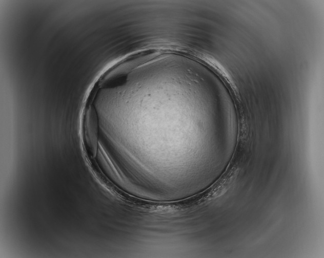 X0000094811128200712071220