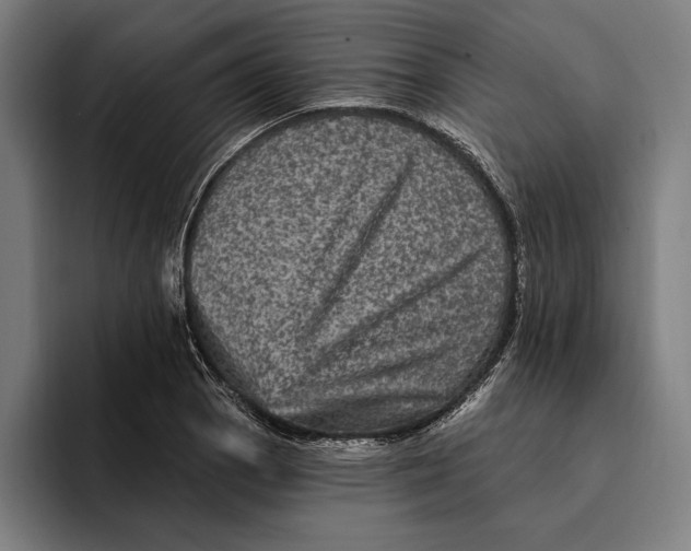 X0000094811129200712071220