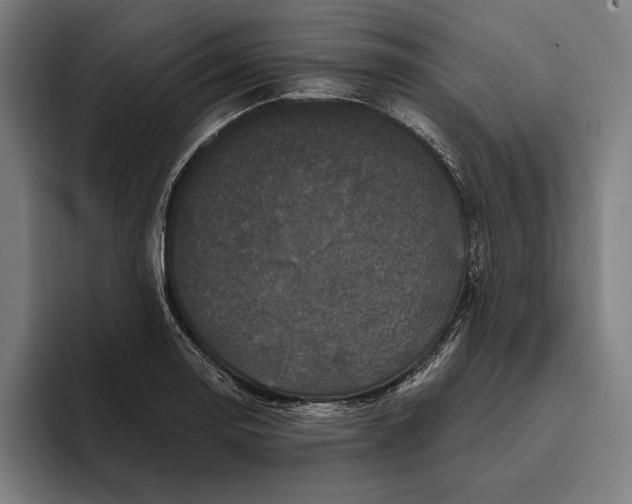 X0000094811130200712071220