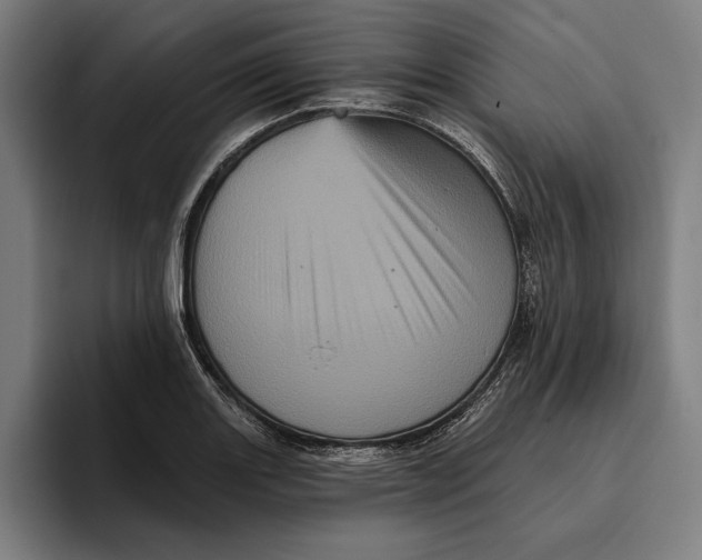 X0000094811131200712071220