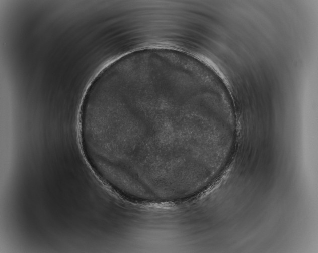 X0000094811133200712071220