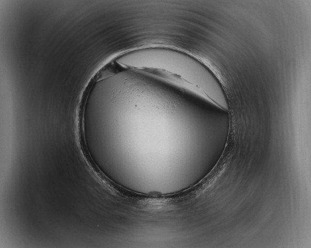 X0000094811134200712071220