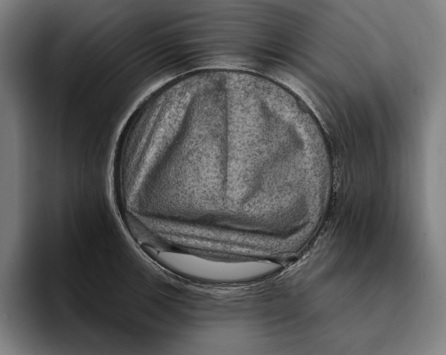 X0000094811139200712071220