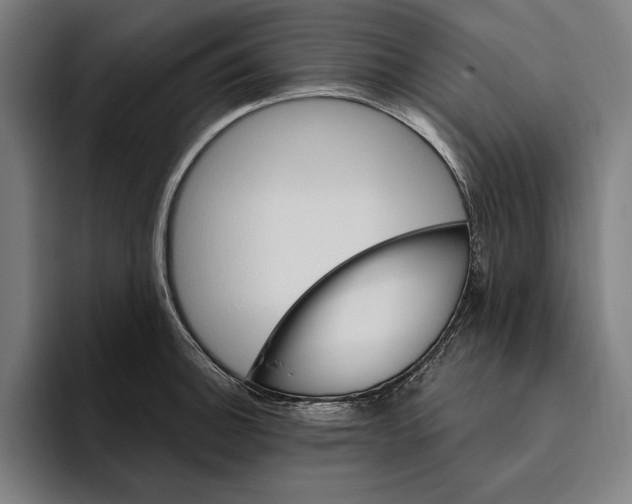 X0000094811140200712071220