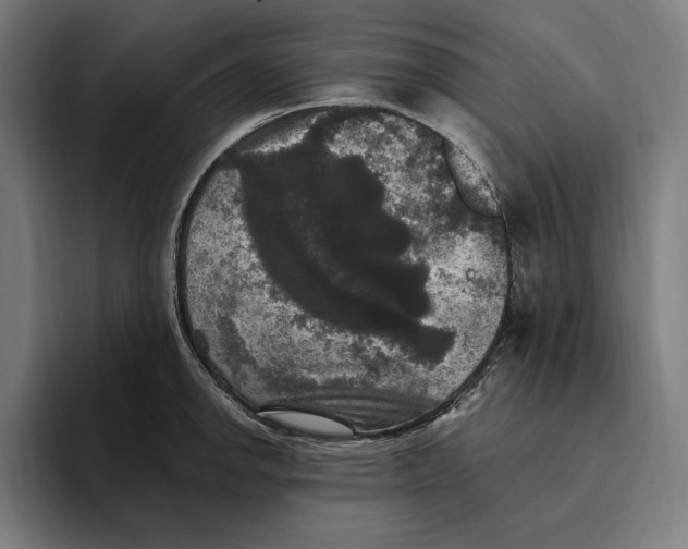 X0000094811142200712071220